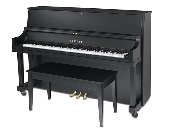 Yamaha P22