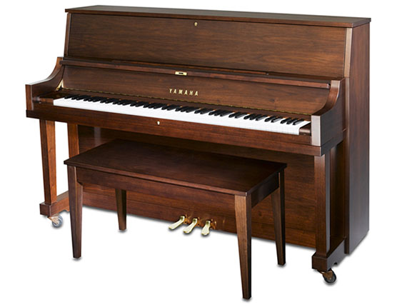 Yamaha P22